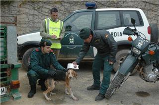 Guardia Civils spesialavdeling for naturbeskyttelse