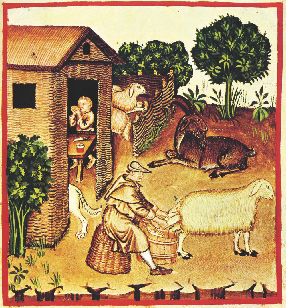 Livet med gårdsdrift i middelalderens Spania