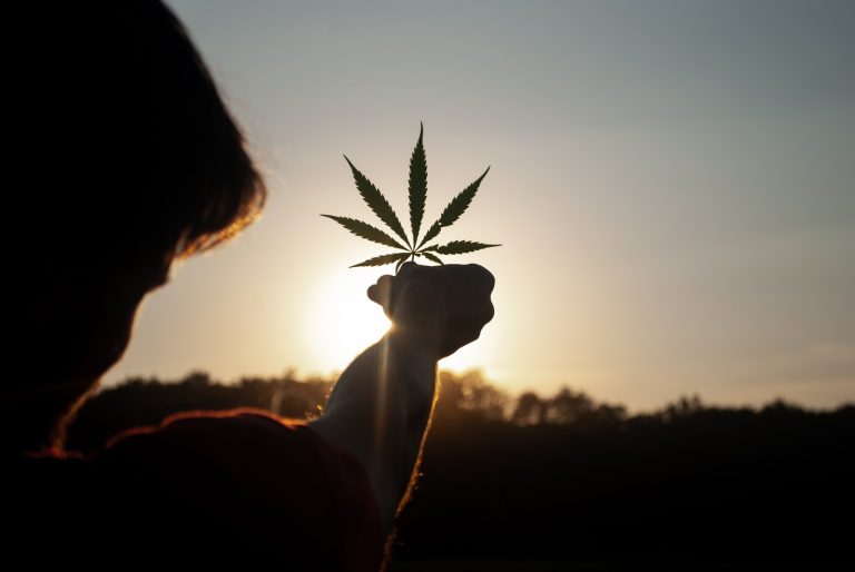 Nei til legalisering av cannabis