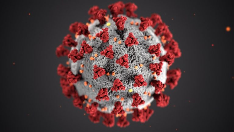 Covid-19 likner en sesonginfluensa