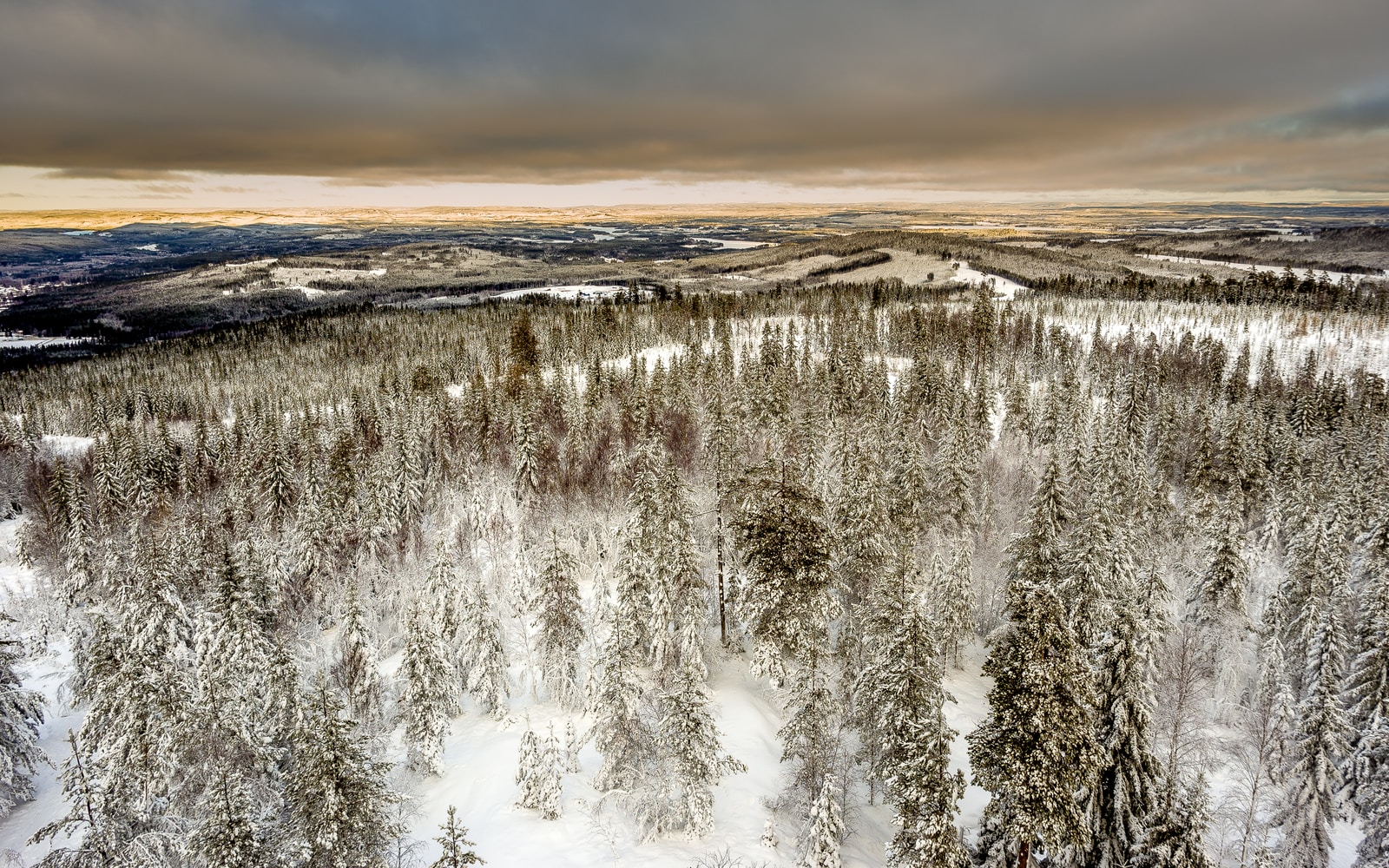 aerial photography of snow covered green leaf trees under cloudy sky