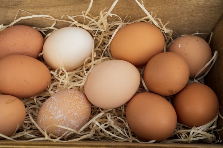 Advarer mot salmonella i spanske egg